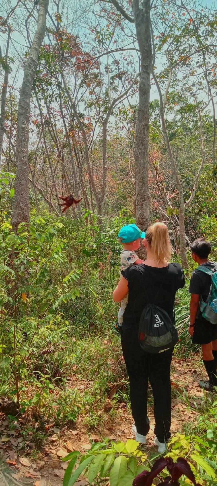 Eco Trekking Lodge, Bar & Jungle Tour'S Bukit Lawang Ngoại thất bức ảnh