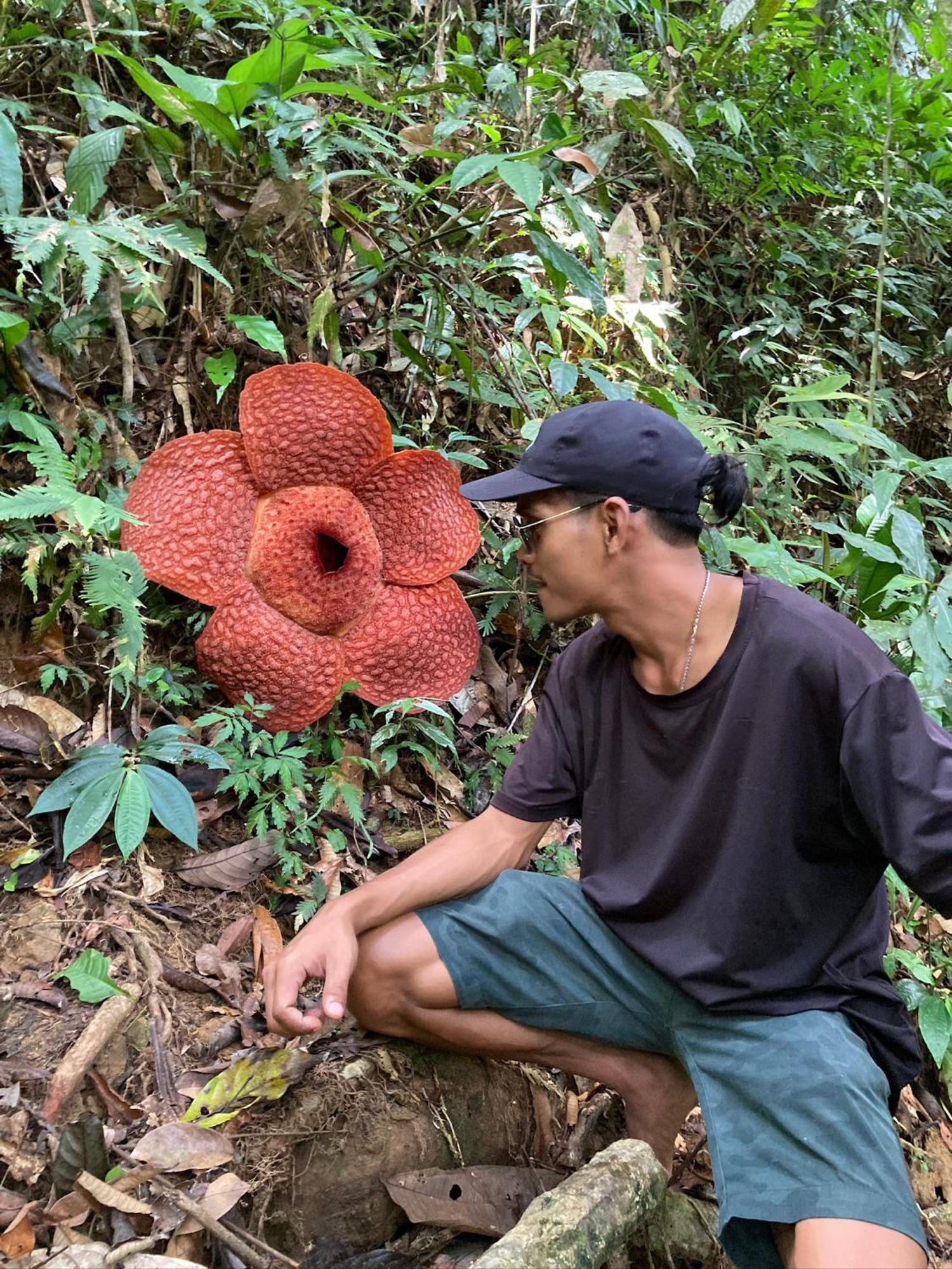 Eco Trekking Lodge, Bar & Jungle Tour'S Bukit Lawang Ngoại thất bức ảnh