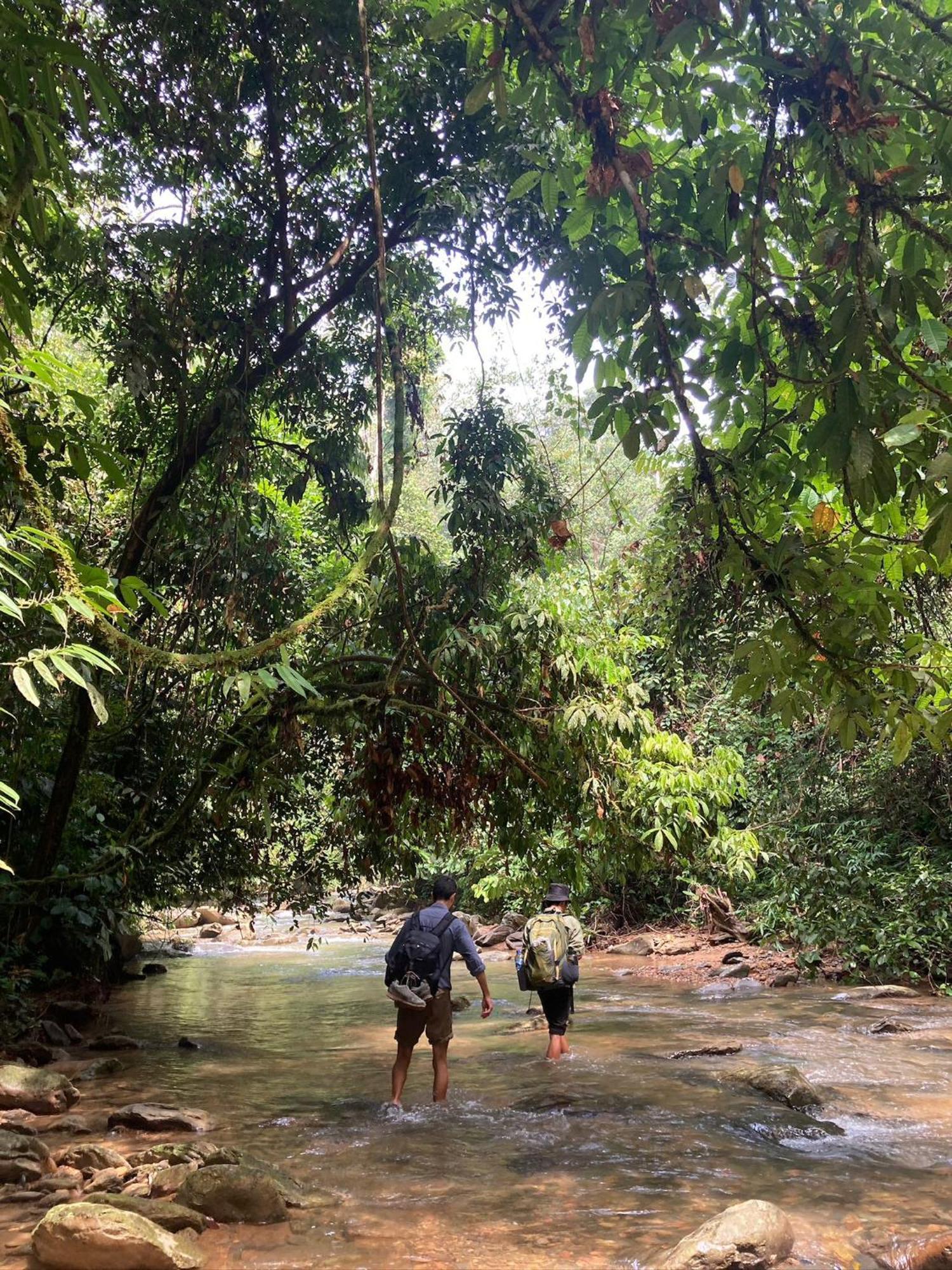 Eco Trekking Lodge, Bar & Jungle Tour'S Bukit Lawang Ngoại thất bức ảnh