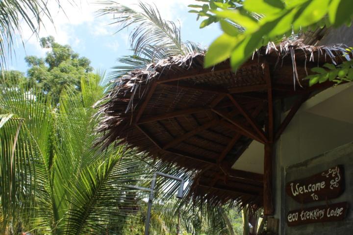 Eco Trekking Lodge, Bar & Jungle Tour'S Bukit Lawang Ngoại thất bức ảnh