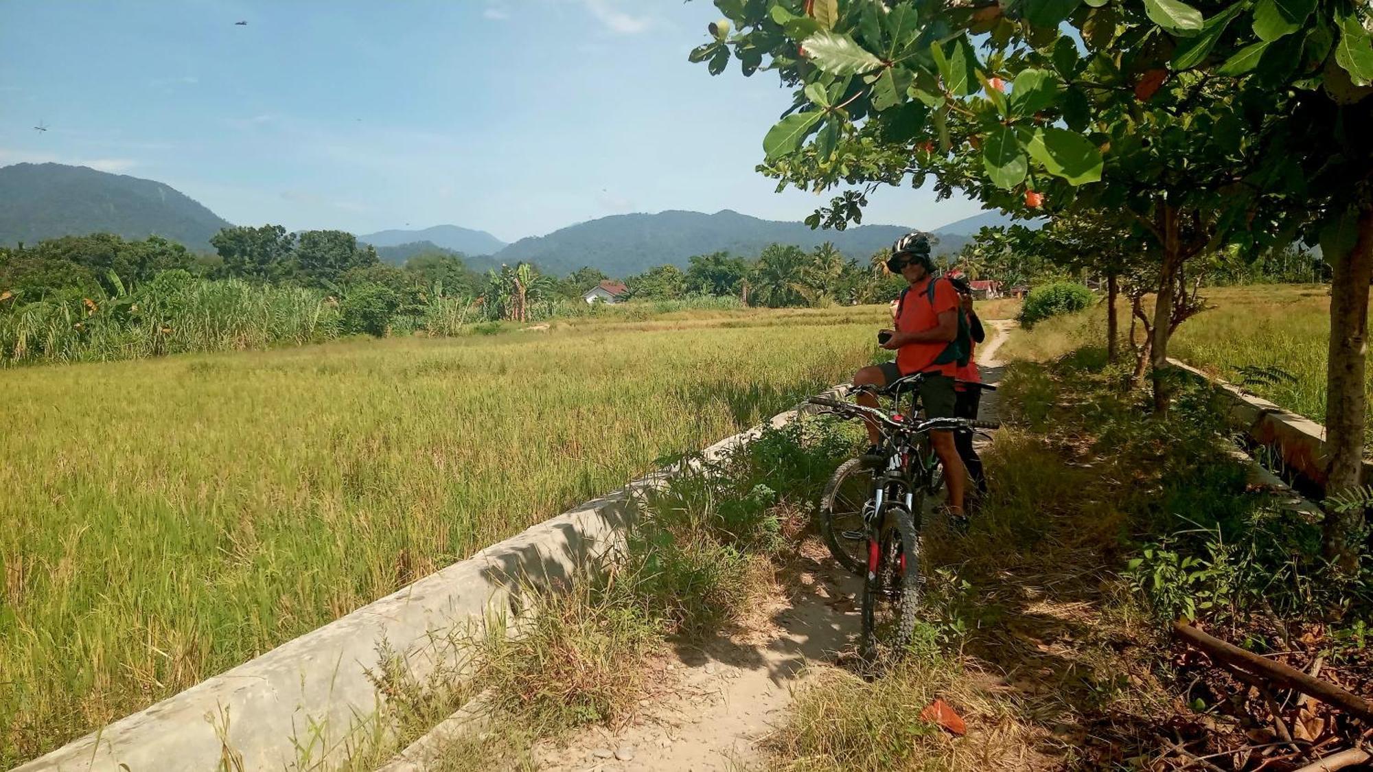 Eco Trekking Lodge, Bar & Jungle Tour'S Bukit Lawang Ngoại thất bức ảnh