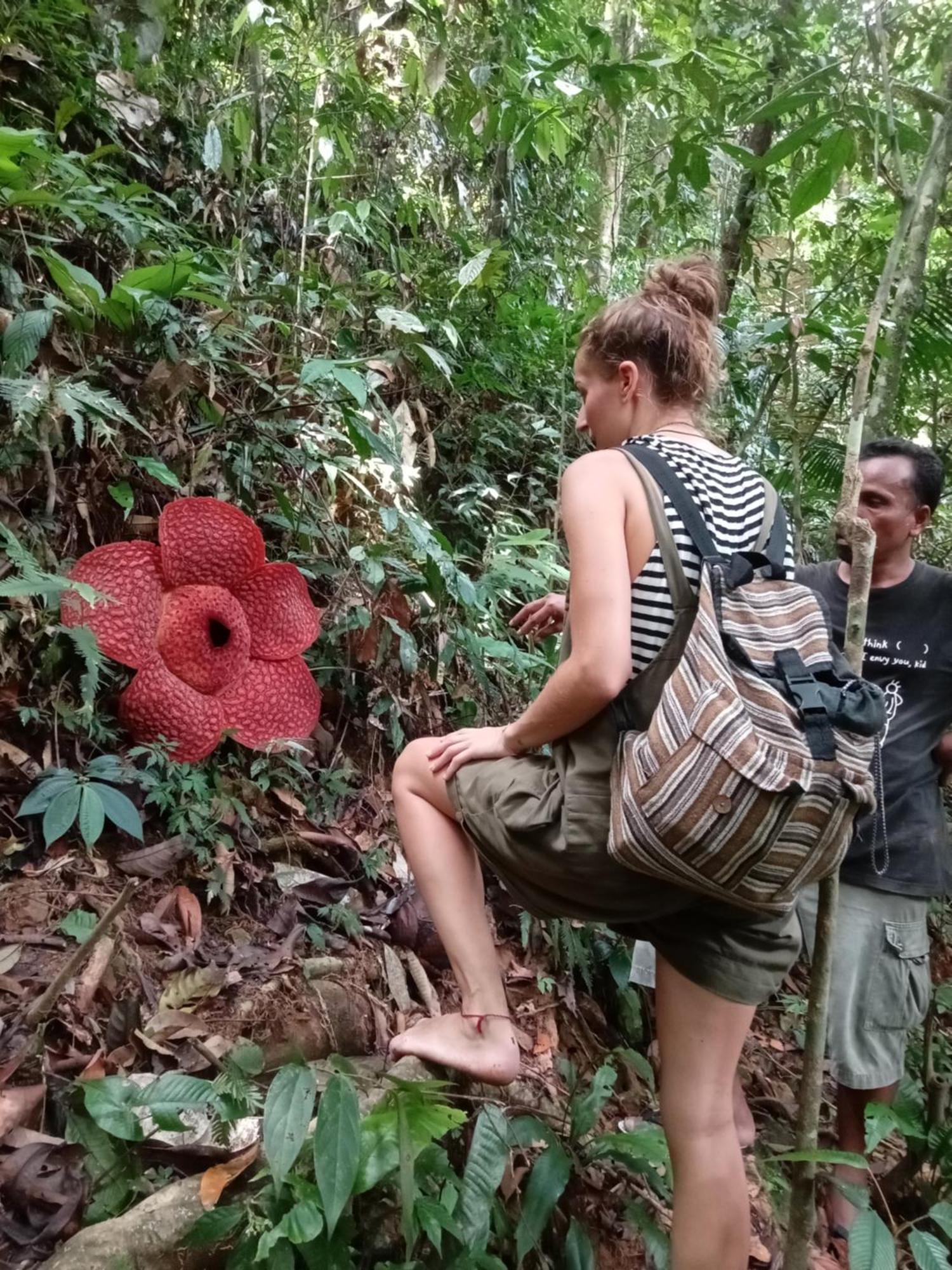 Eco Trekking Lodge, Bar & Jungle Tour'S Bukit Lawang Ngoại thất bức ảnh
